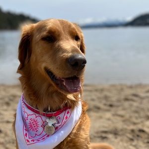 Meet your Posher, Heather